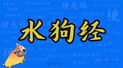 水狗經|水狗經是什麼意思，什麼梗？洗腦神曲